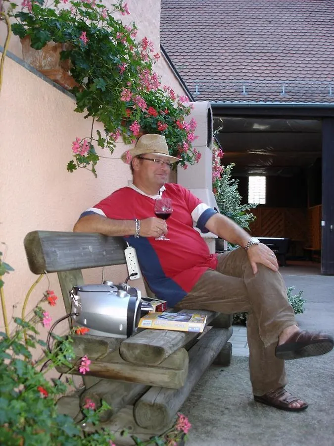 Ferienhaus Teubner Merkendorf  Lejlighed Merkendorf (Bavaria)
